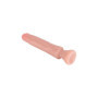 Fallo realistico anale piccolo con ventosa Starter Dong 6 Inch pink