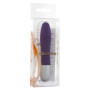 Vibratore vaginale anale mini Discretion Probe Vibrator purple