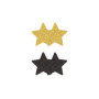 Copricapezzoli a forma di stella Pasties Glitter Stars 2 Pair