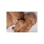 Peluches a forma di pene Penis Plushie 60 cm Brown