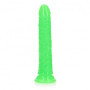 Fallo con ventosa realistico anale vaginale Slim Dildo Suction Cup 20 cm Neon Green