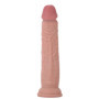 Fallo realistico con ventosa Deluxe Dual Density Dong 14 In