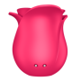 PRO 2 Modern rose