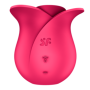 PRO 2 Modern rose