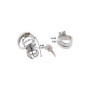 Hidden Desire Extreme Chastity Cock Cage Metal