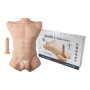 APOLLO L torso maschile realistico