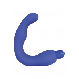 Vibratore anale per punto P stimolatore prostata renegade massager blu