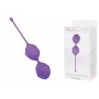PALLINE DELIGHT PUSSY LICHEE SILICONE PURPLE