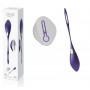 stimolatore vaginale ovetto vibrante R 6 ovo remote purple