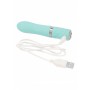 Vibratore vaginale stimolatore in silicone blu fallo vibrante mini ricaricabile