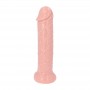 fallo Gigante dildo mai con ventosa dildo realistico vaginale anale pene finto grande big cock 11