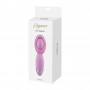 Stimolatore clitoride vibratore vaginale ricaricabile in silicone mini flex pink