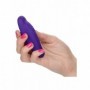 vibratore per slip stimolatore vaginale e clitoride in silicone con telecomando