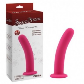 Fallo anale in silicone con ventosa dildo indossabile pene finto sex toy