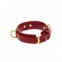 Collare sadomaso D-Ring Collar Deluxe