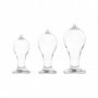 Plug anale trasparente kit mini maxi butt dilatatore indossabile set dildo clear