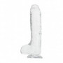 Fallo con testicoli e ventosa pene finto realistico dildo vaginale anale 21 cm