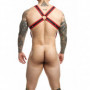 Pettorina sadomaso sexy harness con anello fallico fetish imbracatura bondage