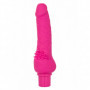 Vibratore in silicone realistico dildo vaginale fallo vibrante stimola clitoride