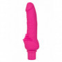 Vibratore in silicone realistico dildo vaginale fallo vibrante stimola clitoride