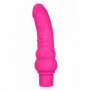 Vibratore vaginale ricaricabile dildo vibrante anale in silicone realistico sexy