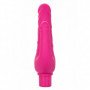 Vibratore doppio vaginale e anale in silicone reale dildo vibrante ricaricabile