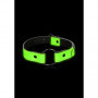 Morso bondage restraint sadomaso sexy costrittivo bdsm O-Ring Gag - Glow in the Dark - Neon Green/Black