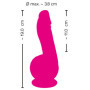 Fallo vibratore realistico anale vaginale Powerful Vibrator