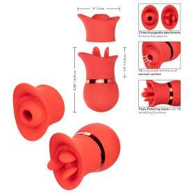 Vibratore in silicone lingua vibrante clitoride vaginale French Kiss Suck & Play Set