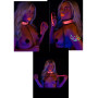Collare sexy bondage bdsm sadomaso fetish Collar and Chain Leash