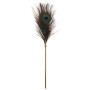 Solleticatore per giochi di coppia Peacock Tickler