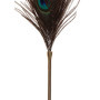 Solleticatore per giochi di coppia Peacock Tickler