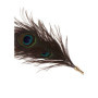 Solleticatore per giochi di coppia Peacock Tickler