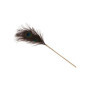 Solleticatore per giochi di coppia Peacock Tickler