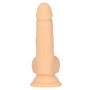 Fallo realistico in silicone con ventosa vaginale anale cup 6.5" Thrusting Dong RC