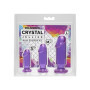 Fallo anale con ventosa dildo Starter Kit Purple