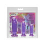 Fallo anale con ventosa dildo Starter Kit Purple